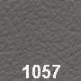 Ledercode 1057