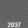 Ledercode 2037
