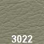 Ledercode 3022