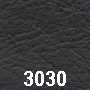 Ledercode 3030