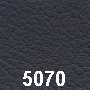 Ledercode 5070