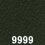 Ledercode 9999